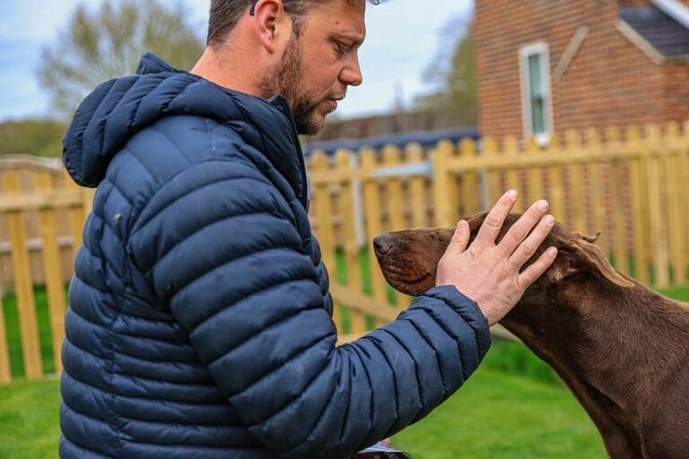 Rehoming out dogs - Dobermann